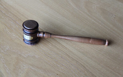 Advieskosten over de ontwikkeling van de BOR niet zakelijk