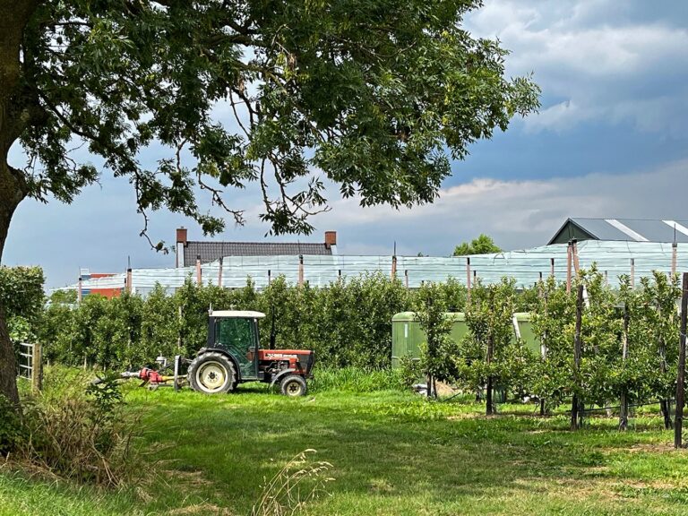 Vanaf 2028 21% btw op sierteeltproducten